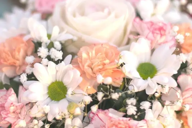 Our Flower Collection